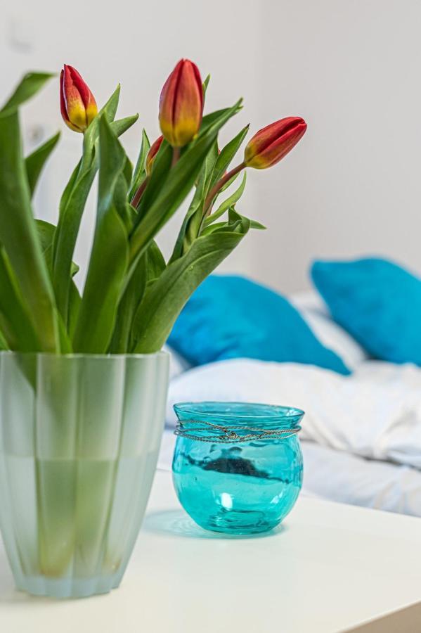 Apartament Mona Lisa 소포트 외부 사진